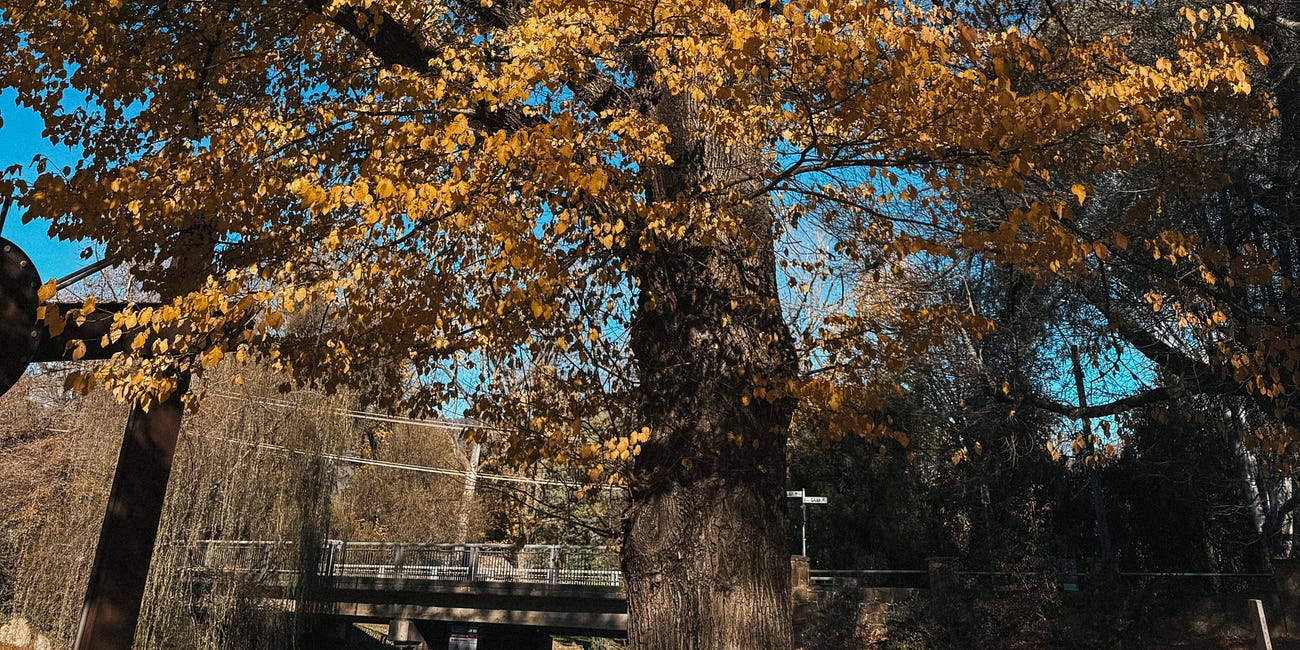 What I packed (& wore) for weekend away in Bright 