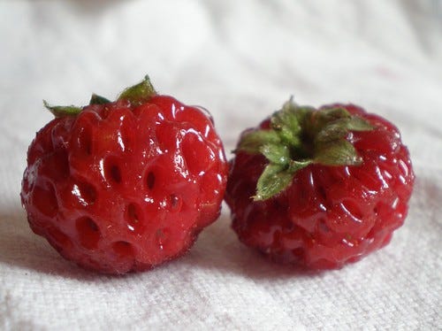 Strasberries