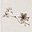Maar Mosh's avatar