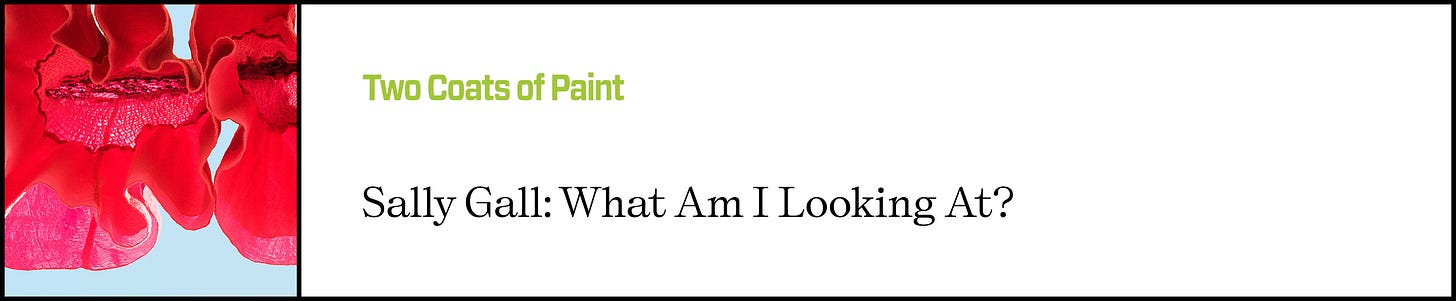Two Coats of Paint: Sally Gall: What am I looking at?