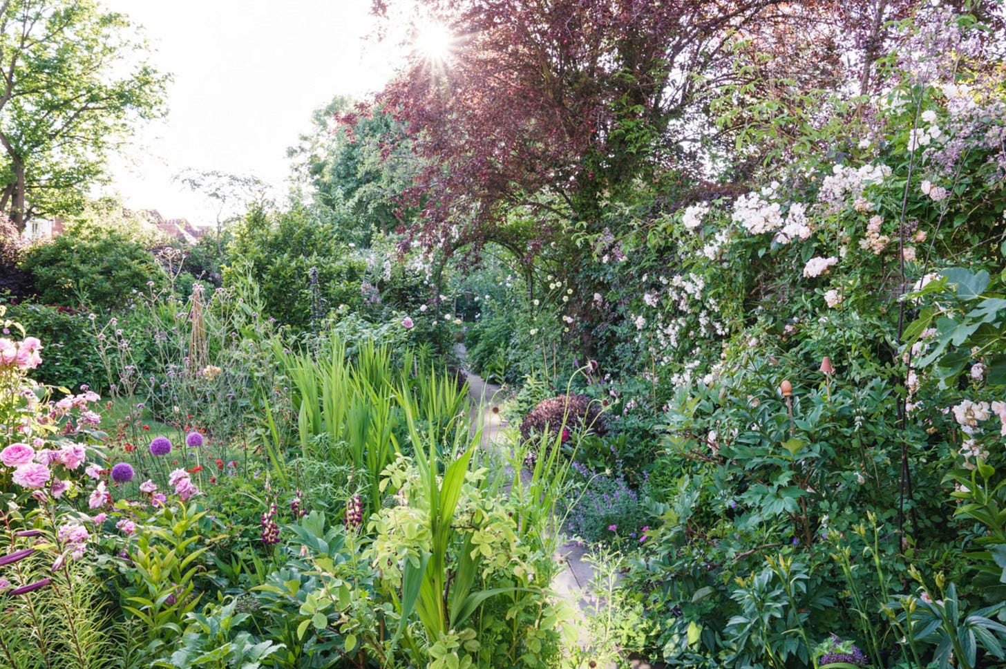 a pretty cottage garden
