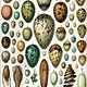 [Nature's Footnote]