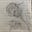 Aleeza's avatar