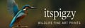 Itspigzy