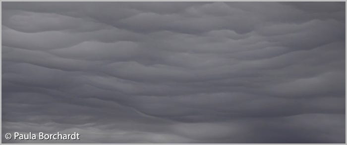 Gray wavy clouds, Tucson, AZ