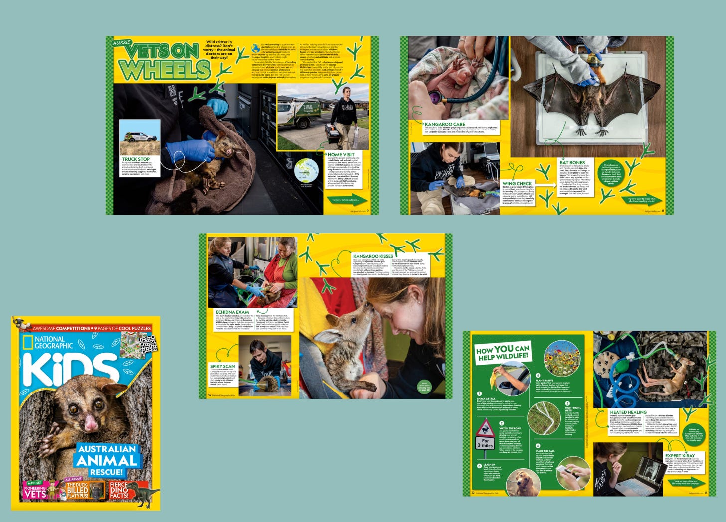 cover of national geographic kids magazine and vets on wheels story