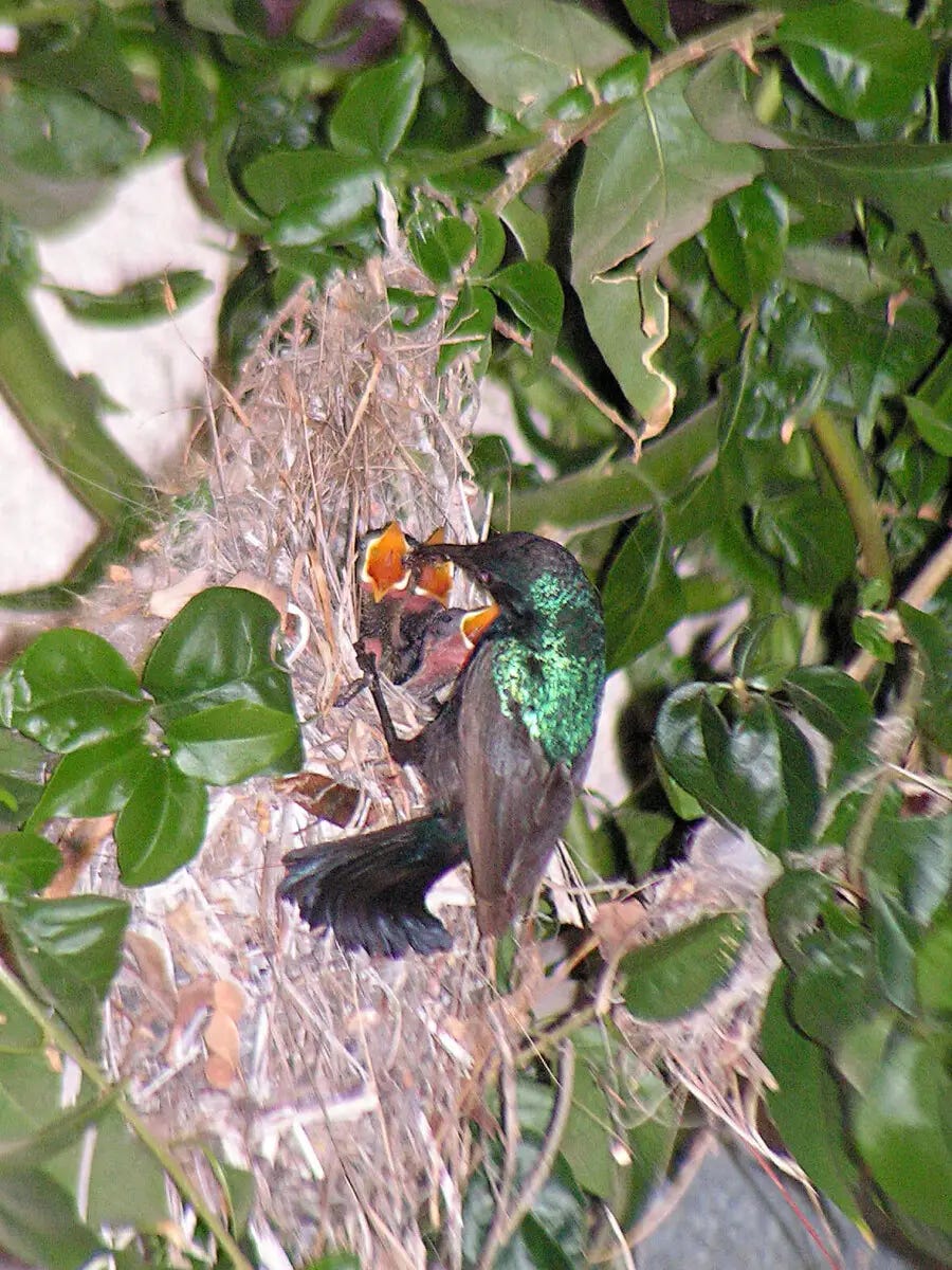 IMG_9582.webp IMG_9582.webp