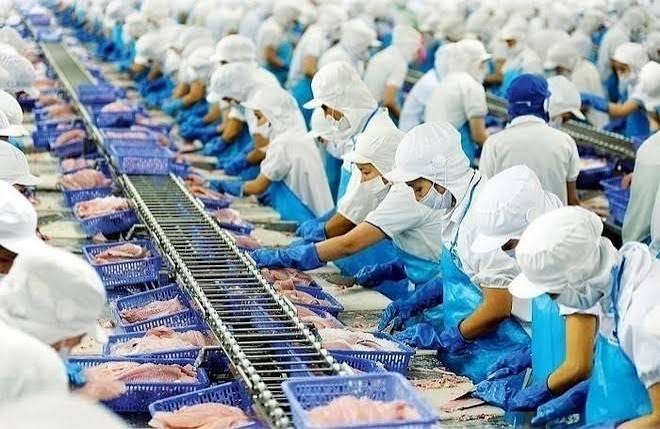 Vĩnh Hoàn (VHC): Thị trường Mỹ và châu Âu tiếp tục là động lực tăng doanh thu trong tháng 7/2025 | Tin nhanh chứng khoán