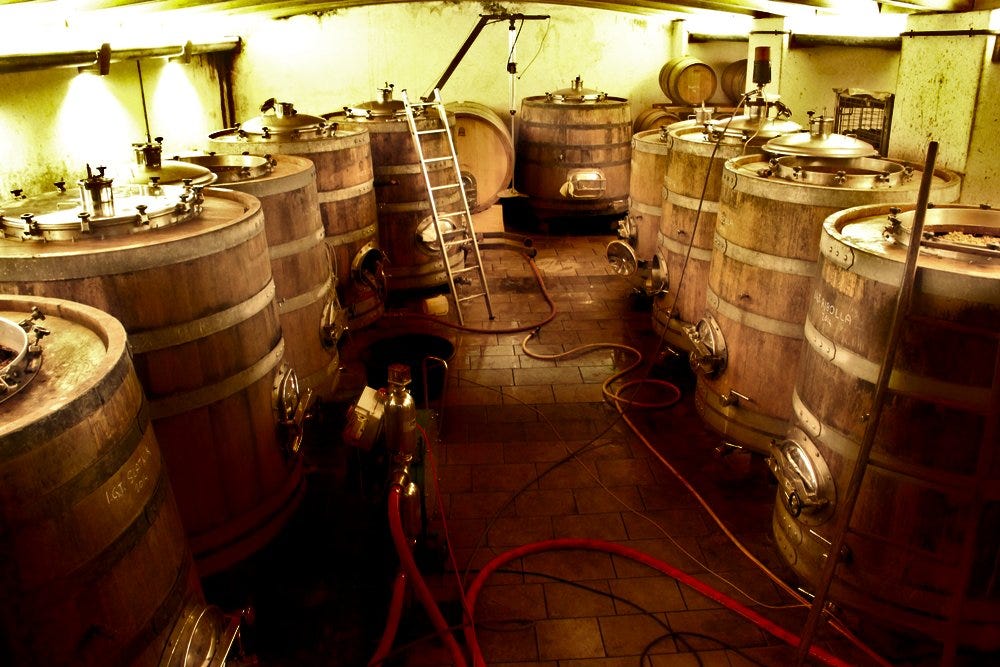 Radikon Cellar 2014 (Photo copyright Simon Woolf)