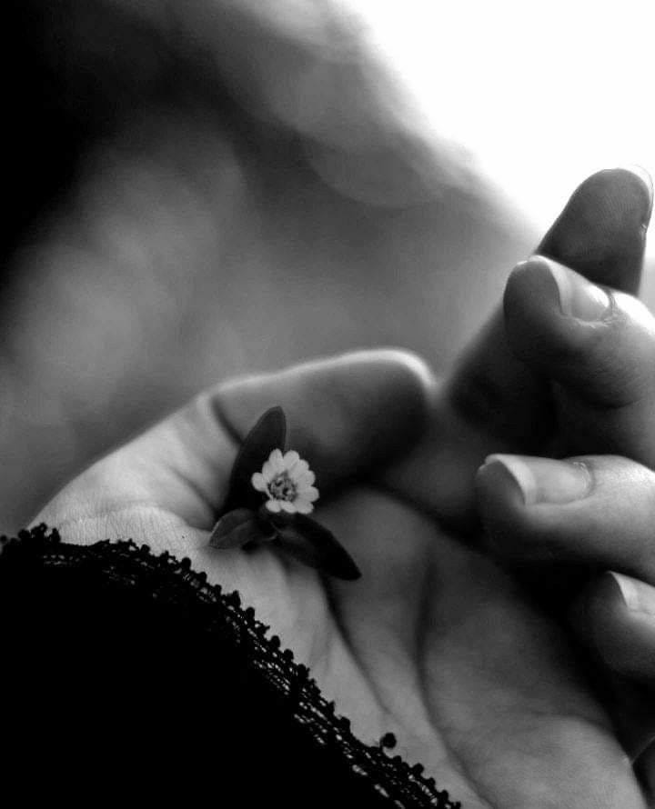 May be a black-and-white image of flower May be a black-and-white image of flower