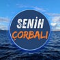 Mahmud Senih Çorbalı's avatar
