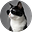 Carole Law's avatar