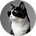 Carole Law's avatar