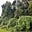 Kudzu's Kalamity's avatar