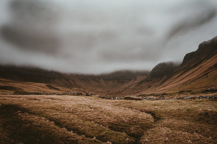 An Image of a wilderness