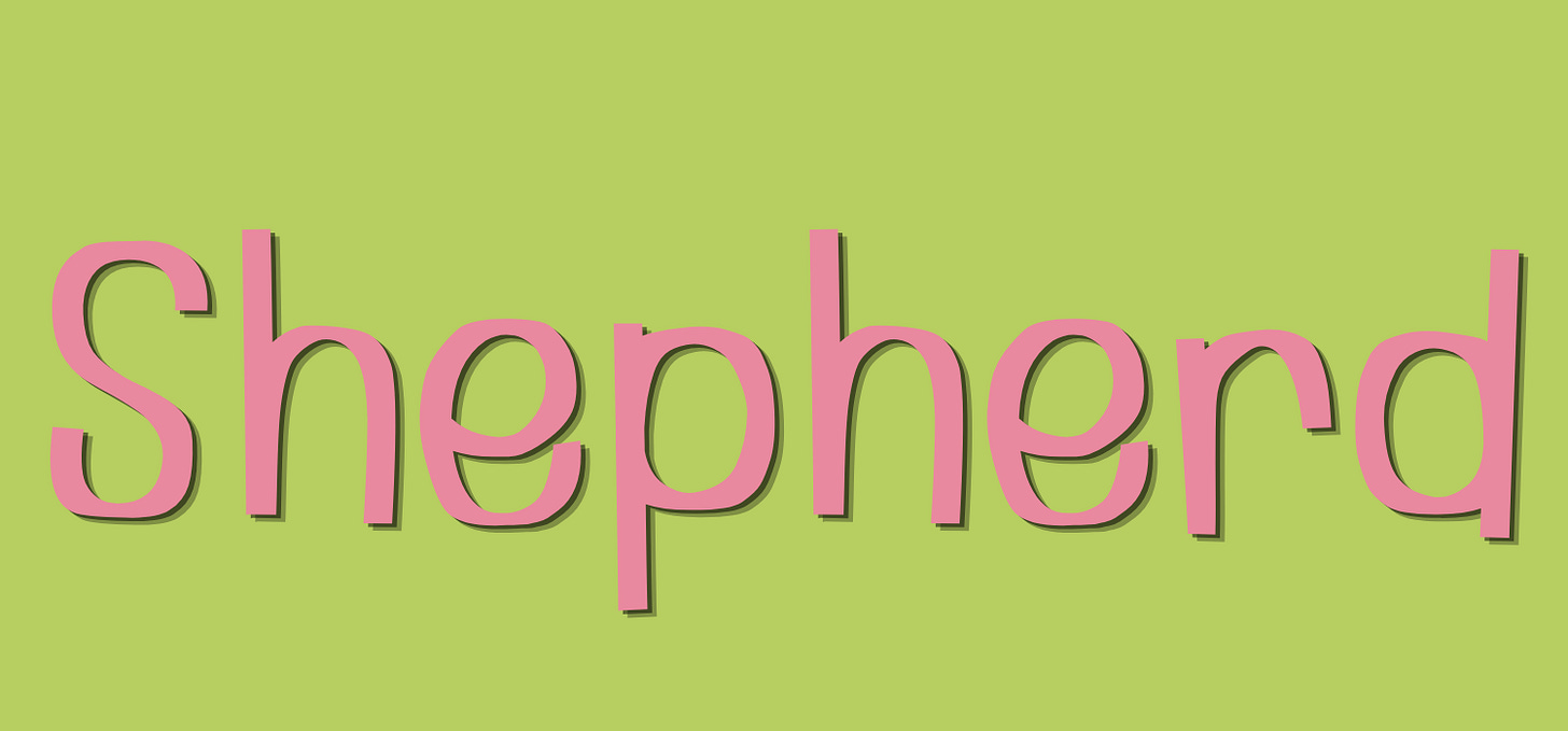 Shepherd, written in pink text on a green background Shepherd, written in pink text on a green background