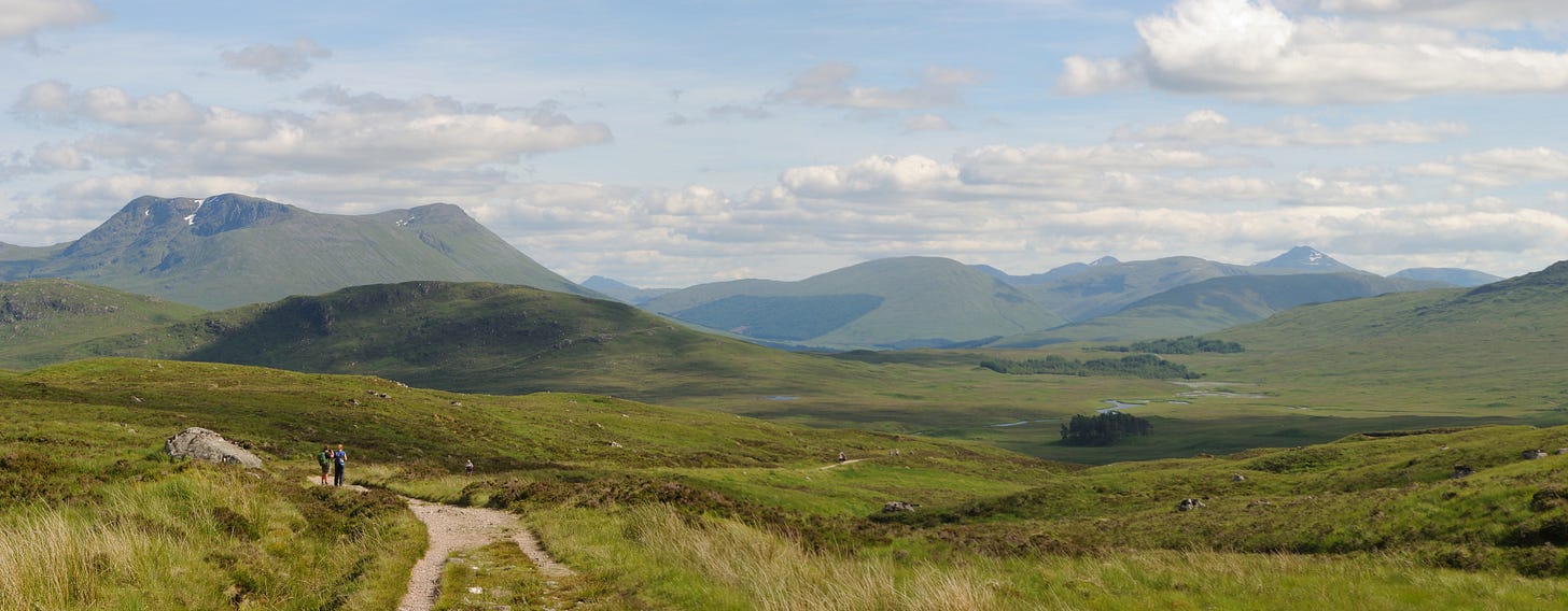 track across grassy moorland