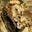 King2Savanah's avatar
