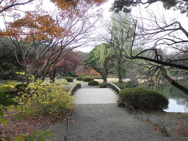 Shinjuku Gyoen Garden Shinjuku Gyoen Garden