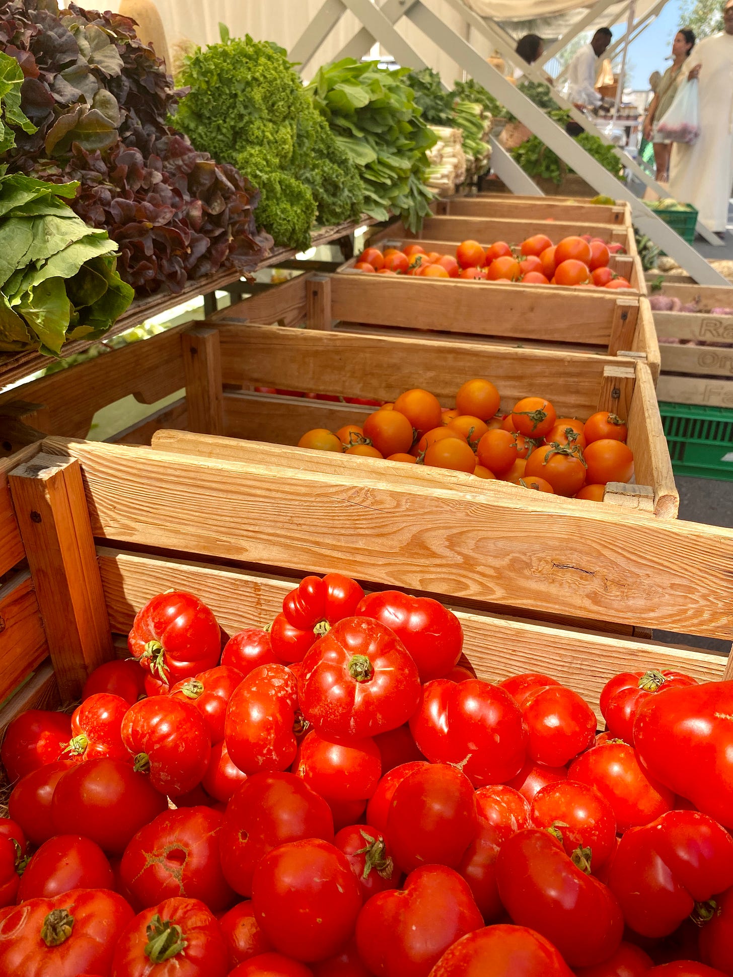 Tomatoes and lettuce at the local farmer's market in Dubai.