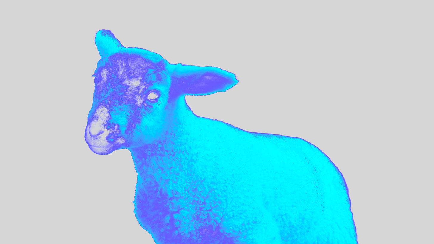 Live Births from Vitrified and Replanted Whole Ovaries in Large Mammals