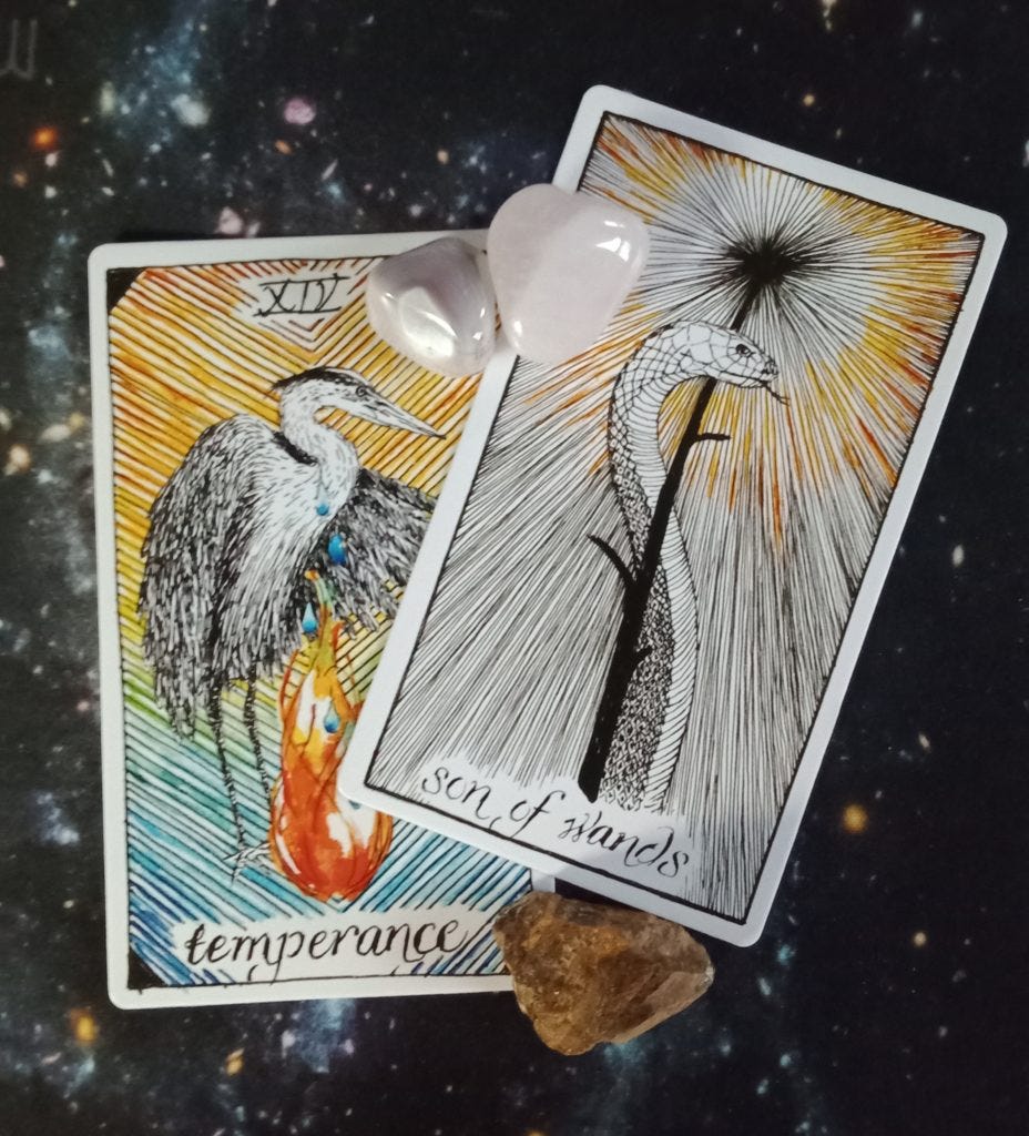 A Message from the Universe ~ You're Not Doing it Wrong, Multiple Wild Unknown Tarot Cards A Message from the Universe ~ You're Not Doing it Wrong, Multiple Wild Unknown Tarot Cards