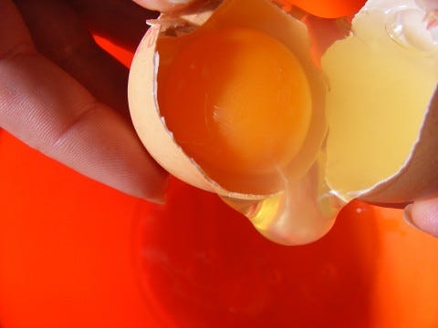 Yolk-Broken-Eggs_143270-480x360 Yolk-Broken-Eggs_143270-480x360