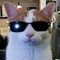 Sherwin's avatar