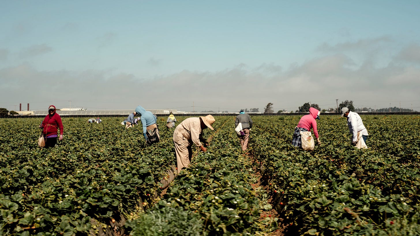 Farmworkers, Mostly Undocumented, Become 'Essential' During Pandemic - The  New York Times