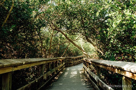 Trails around Everglades National Park