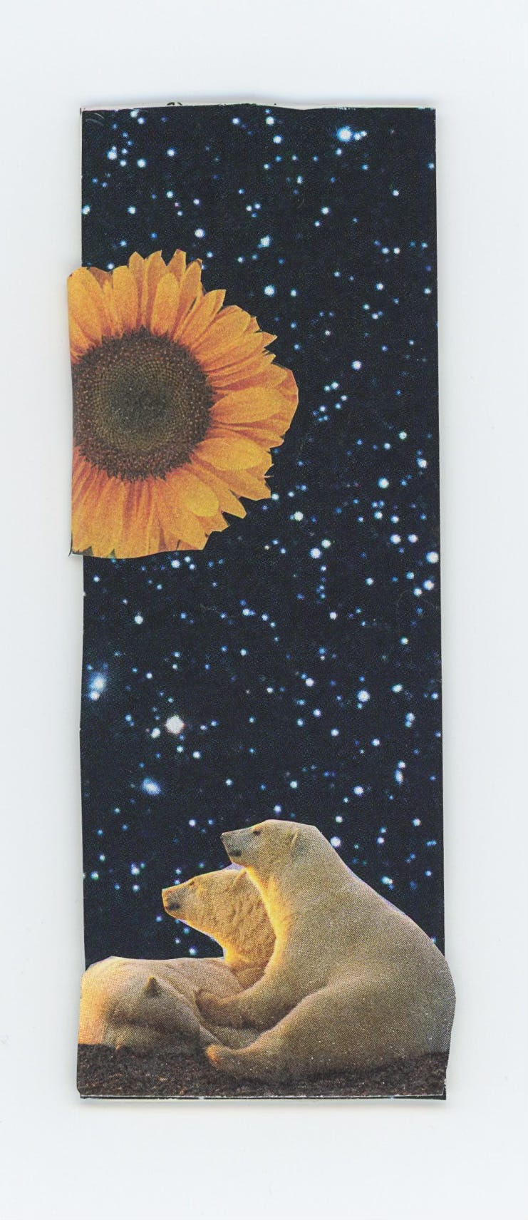 a mini collage on a clothing tag. background is a photograph of space from the Hubble telescope, dark blue sky with lots of light blue/white stars. at the bottom of the tag is a family of polar bears in sunlight. near the top left corner of the tag is half a sunflower.