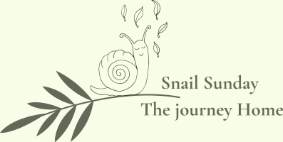 Snail Sunday - The Journey Home