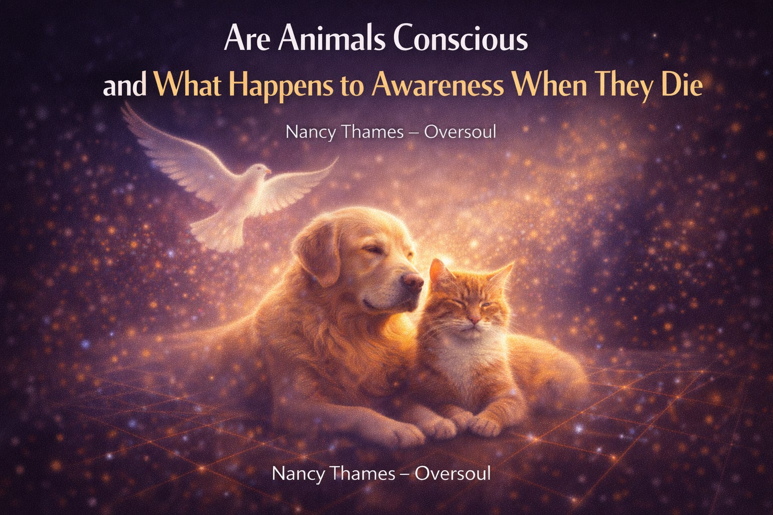 Are Animals Conscious and What Happens to Awareness When They Die