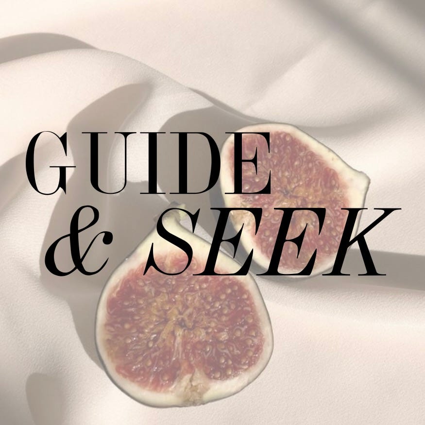 guide and seek