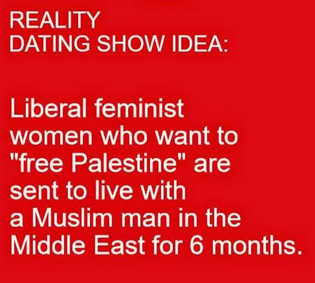 r/ConservativeMemes - TV Show Idea…