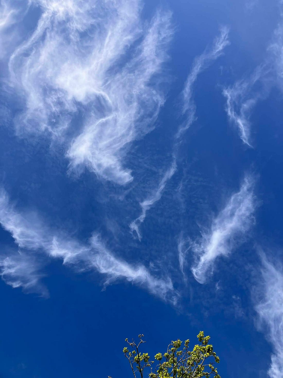 blue sky image