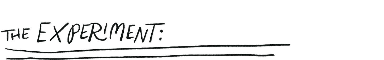 (Handwritten) The Experiment:
