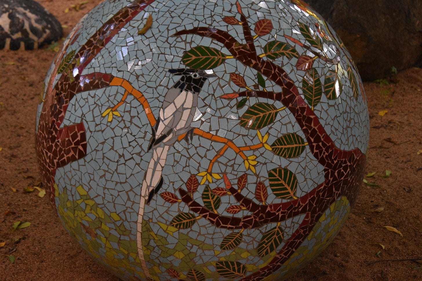 Bonus points if you can name the bird :)