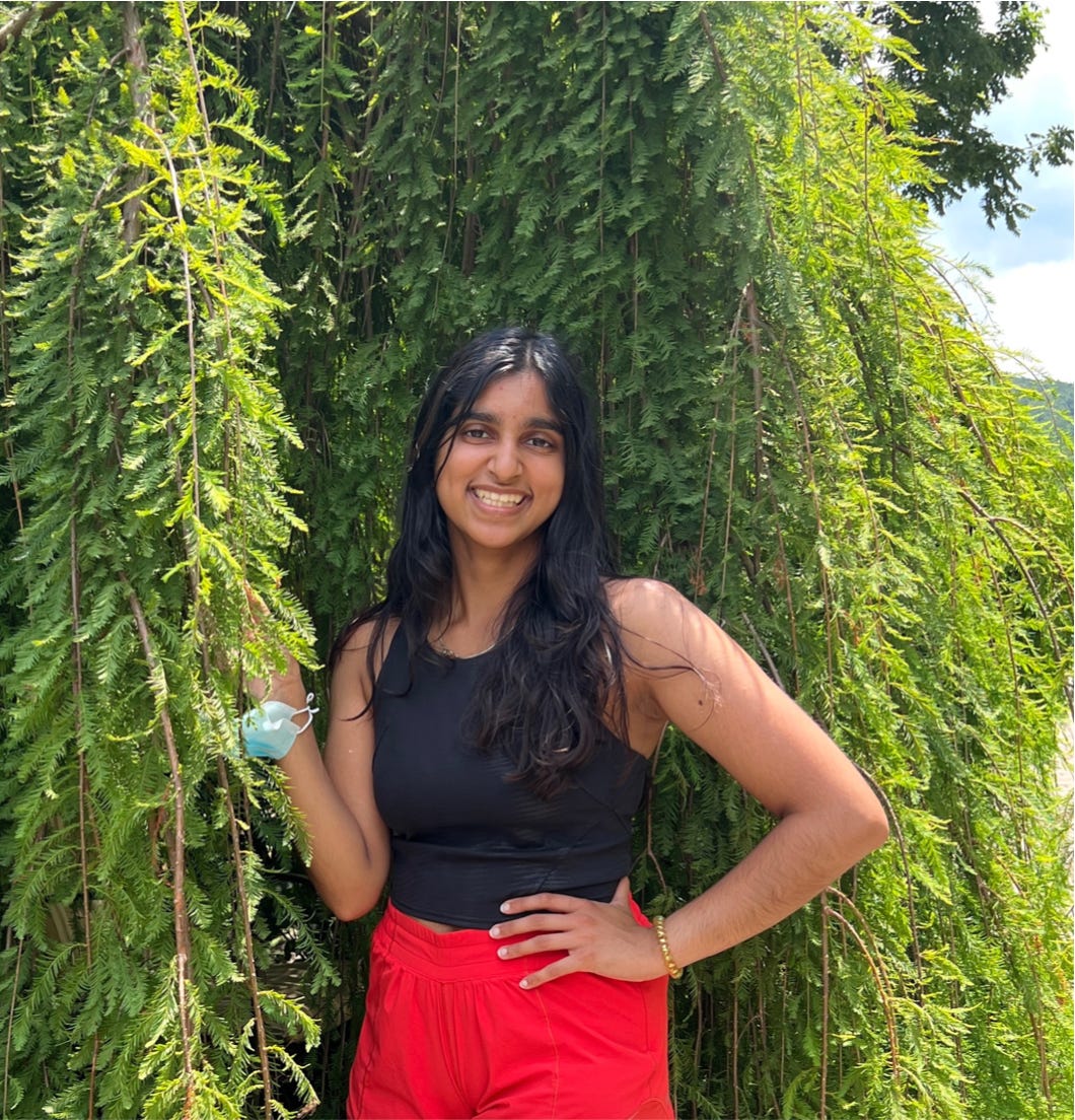 Artwork for Aana’s Substack