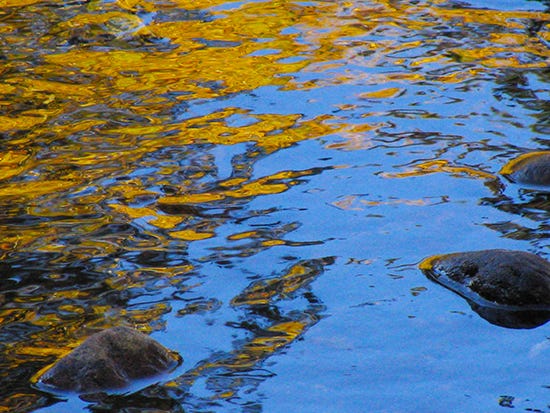 Aspen Colors Reflected in Water II Photo of Aspen Colors Reflected in Water II