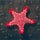 The Order of the Vermillion Star