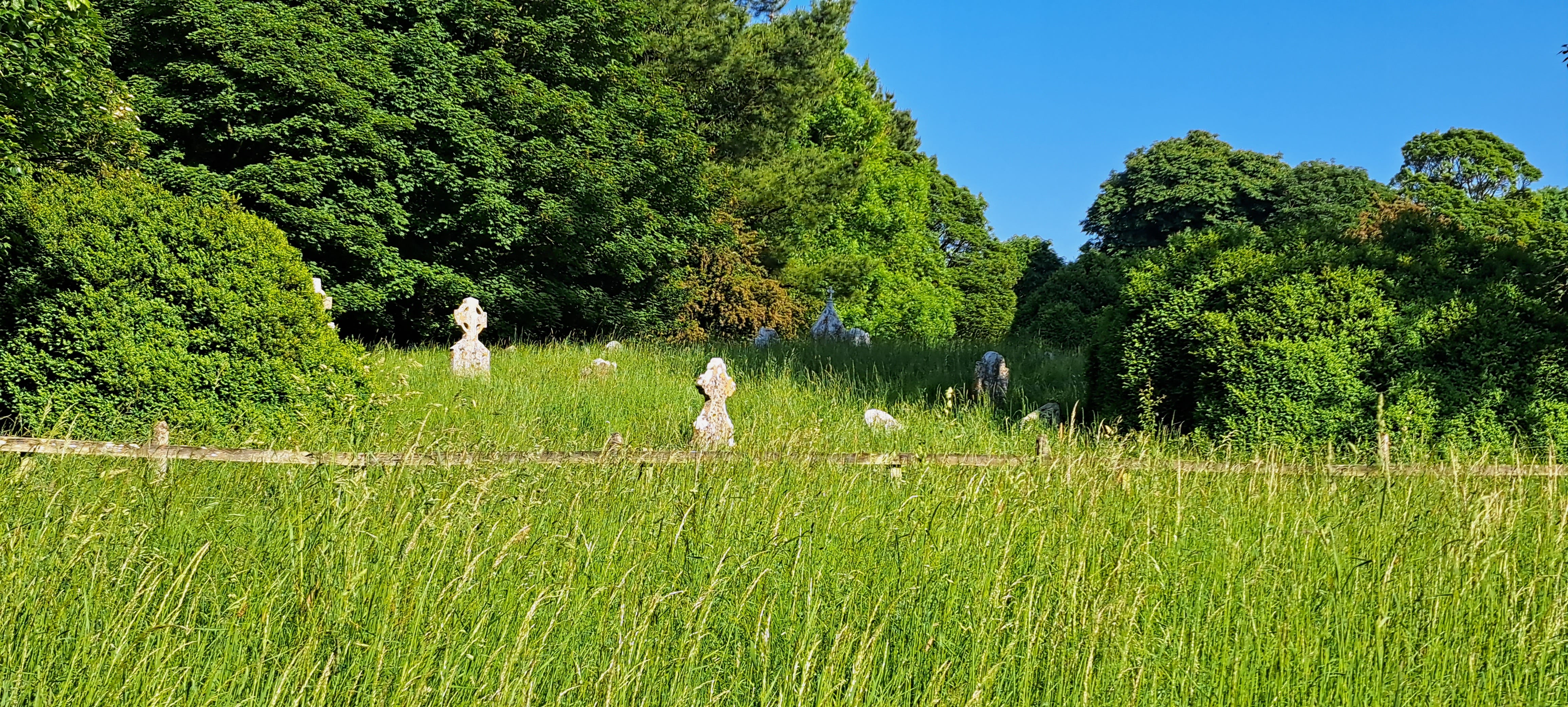 A cluster of small celtic cross tombstones on the side of a hill, overgrown with tall meadow grass. beyond, tall trees in full leaf meet a cloudless blue sky.