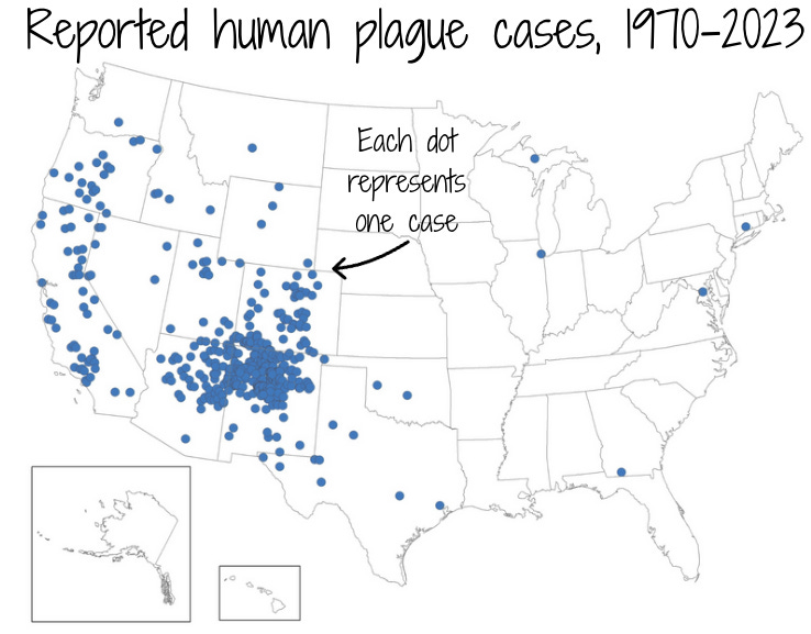 Covid, flu, West Nile virus and plague