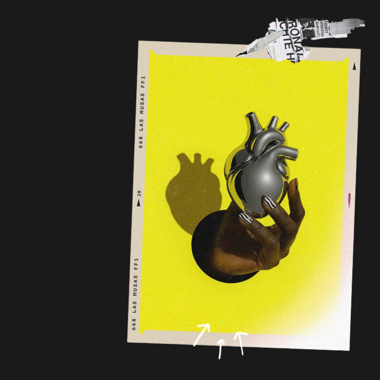 Culto o Ruido — Lines Aja