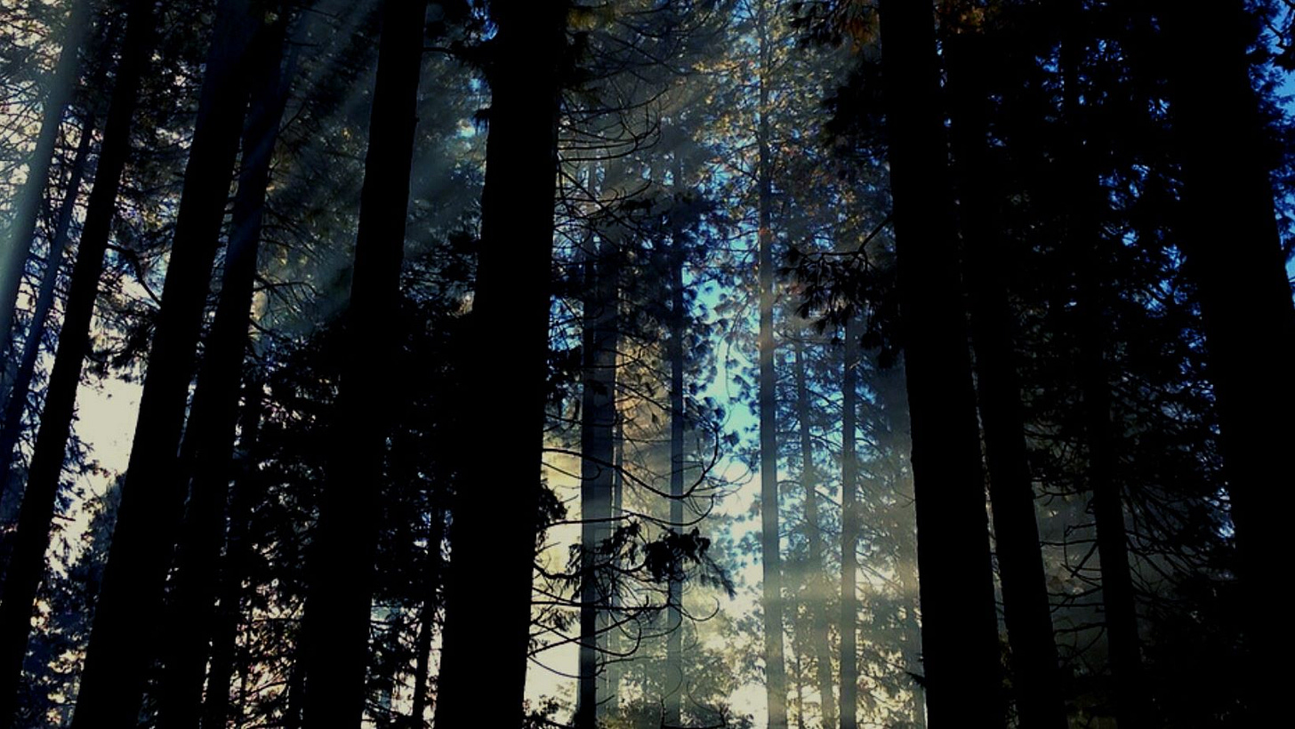 Nenhuma descrição de foto disponível.