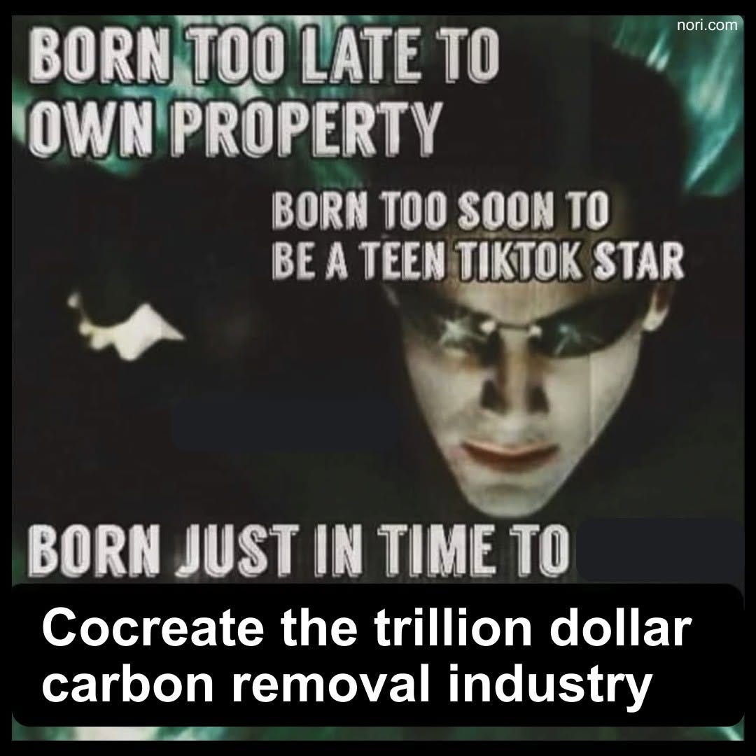 Green-tinted image of Neo from The Matrix. Text: "Born too late to own property. Born too soon to be a teen TikTok star. Born just in time to cocreate the trillion dollar carbon removal industry."