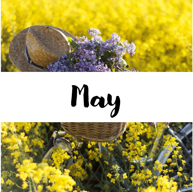 A bicycle with flowers and a hat on the handlebars. The background is a field of yellow flowers. In a white banner, the text reads "May".
