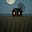 Steve Miller's avatar