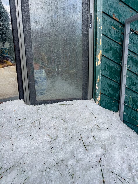 Scenes from a recent hailstorm near Durango. Photos: Mitch Tobin.