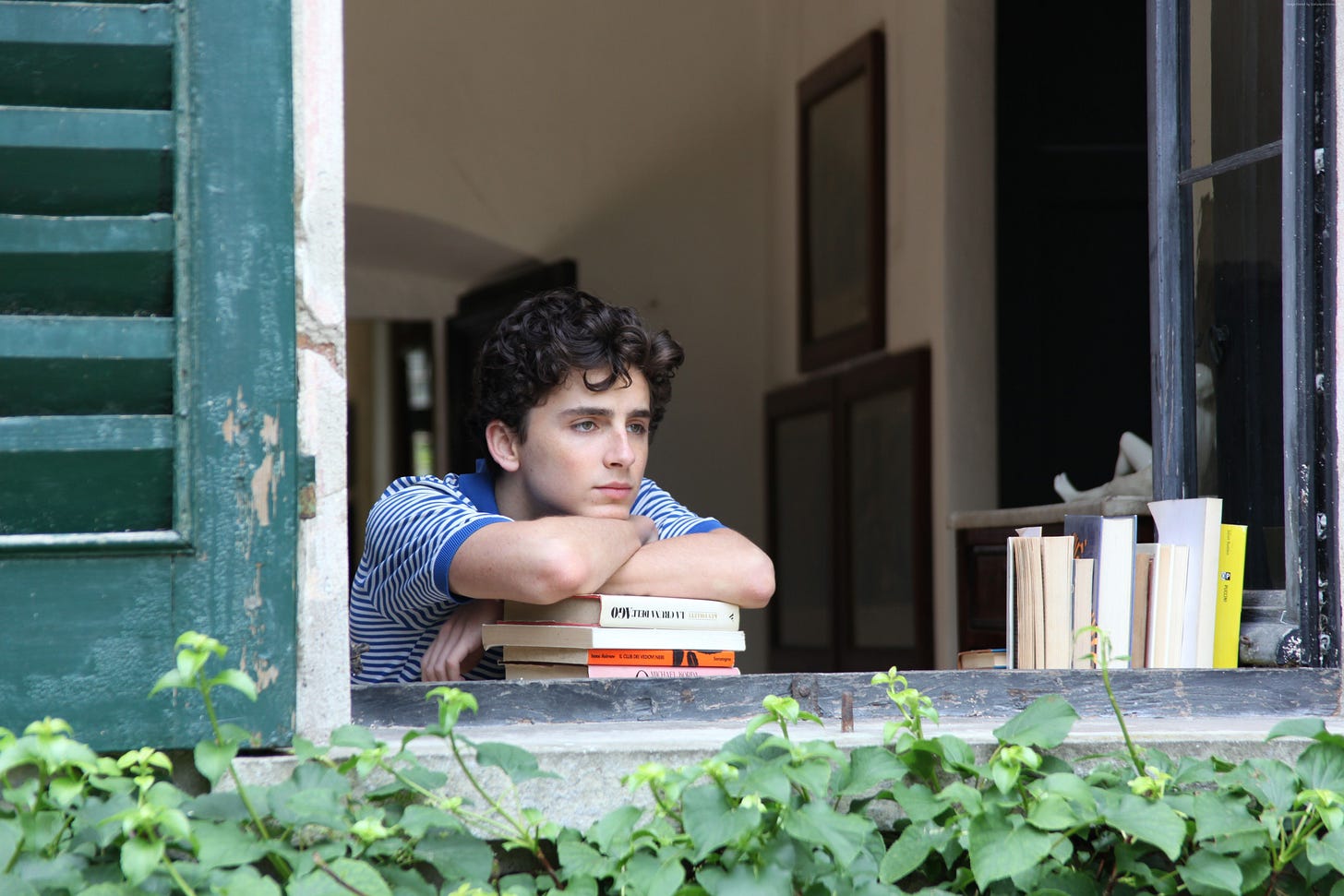 Timothée Chalamet leans on a stack of books and looks out a window in "Call Me By Your Name" (2017)